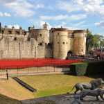 Tower of London – Poppy Appeal WIFI system